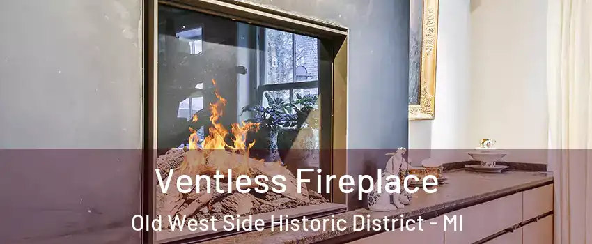 Ventless Fireplace Old West Side Historic District - MI
