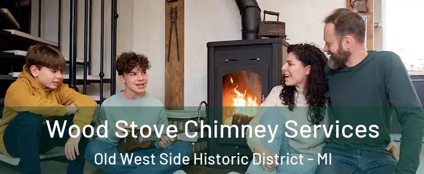 Wood Stove Chimney Services Old West Side Historic District - MI